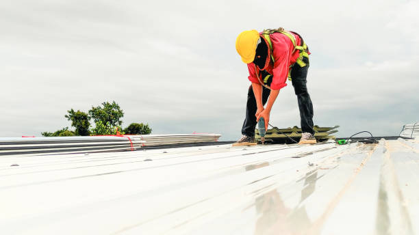 Best Roof Maintenance and Cleaning  in Pinson, AL