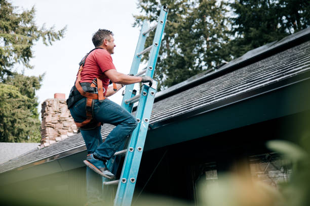 Best Roof Moss and Algae Removal  in Pinson, AL